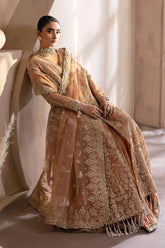Emaan Adeel | CAMELIA  | Organza Embroidered